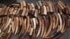 Australian MPs to Probe Links to Illegal Ivory Trade