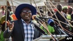 FILE - Transform Zimbabwe leader Jacob Ngarivhume gestures as he addresses a Movement for Democratic Change (MDC) Alliance launch rally at White City Stadium in Bulawayo on Sept. 2, 2017. 