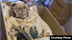 Mummified remains of Terézia Hausmann. (Gemma Kay)