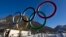 Sochi yaqiniga o'rnatilgan olimpiya o'yinlari ramzi, 4-yanvar, 2014-yil.