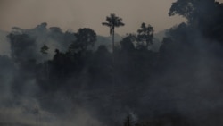 Asap dari kebakaran hutan Amazon mengepul ke udara di hutan hujan Amazon di Apui, negara bagian Amazonas, Brazil, 8 Agustus 2024. (Foto: Adriano Machado/Reuters)