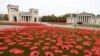 Bunga-bunga opium (poppy) terlihat di Koenigsplatz, Munich, Jerman, menjelang persiapan menandai 100 tahun berakhirnya Perang Dunia I.