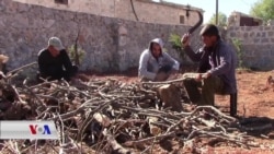 Jiber Rewşa Dijwar Efrînî Neçar Dibin Darên Fekîyan Dibirin