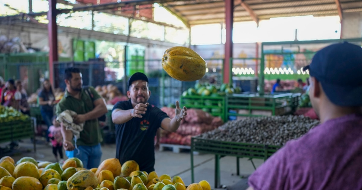 Moneda venezolana se devalúa un tercio en lo que va de 2025 y brecha cambiaria se dispara