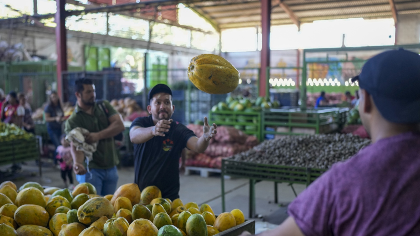 ARCHIVO - Trabajadores llenan una canasta con papayas en el mercado de la Cooperativa Cecosesola en Barquisimeto, Venezuela, el 19 de enero de 2025.