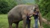 Pakar Gunakan Lagu dan Obat Penenang untuk Selamatkan Gajah Islamabad