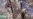 16x9 Image