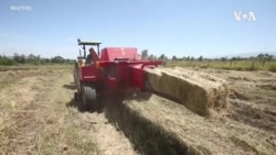 Africa Deere Hello Tractor -- USAGM