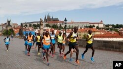 Des coureurs du Marathon international de Prague, en République tchèque, le 11 mai 2014. 