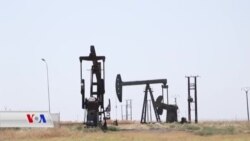 Jiber Şerê li Sûrîyê Tenê % 30 Bîrên Petrolê li Cizîrê Dixebitin