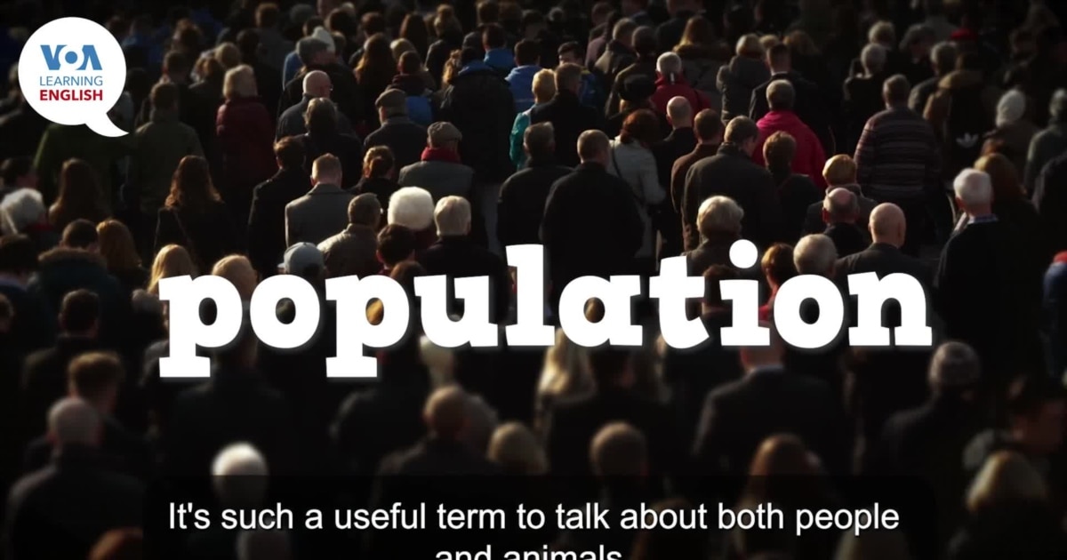 Everyday Grammar Video: 'Population' in Sentences