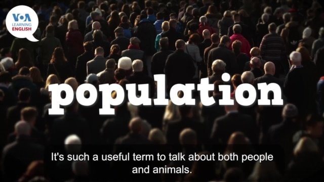 Everyday Grammar Video: 'Population' in Sentences - March 18, 2025