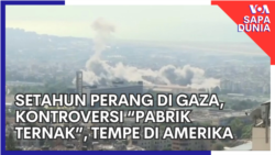 Sapa Dunia: Setahun Perang di Gaza, Kontroversi “Pabrik Ternak”, Tempe di Amerika