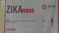 Zika ဗိုင်းရပ်စ် မကူးစက်ရေး