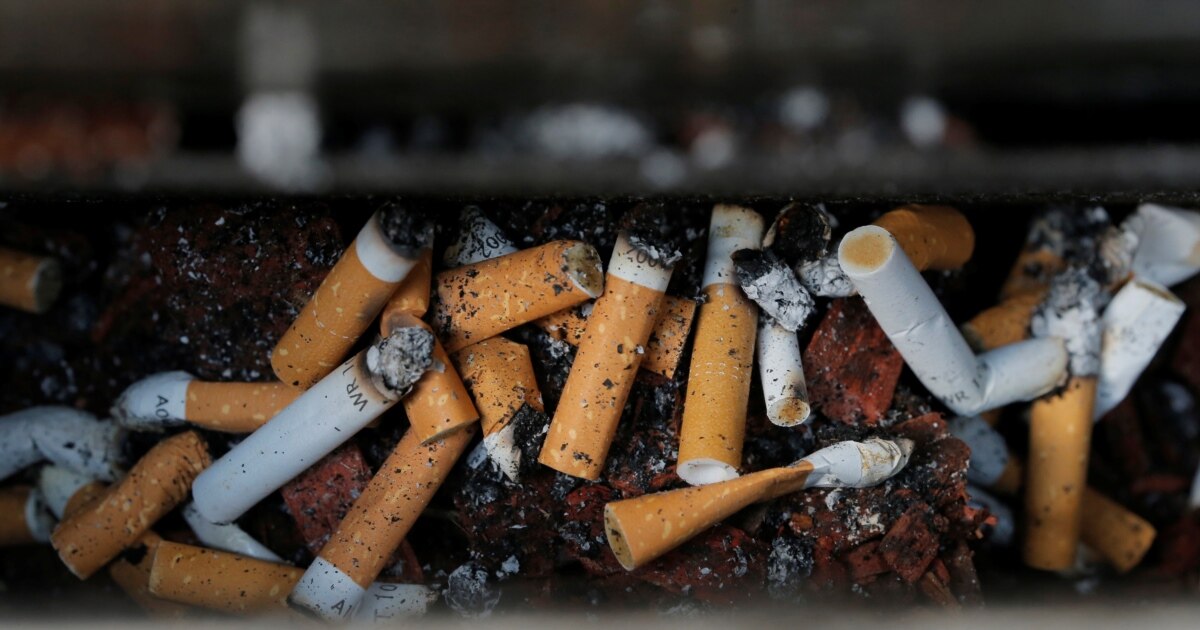 is cannabis healthier than cigarettes Smoking marijuana may be more harmful to lungs than smoking cigarettes,  study finds