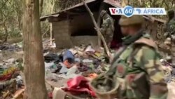 Manchetes Africanas 10 Fevereiro: Bissau ajuda Senegal na captura de bases rebeldes