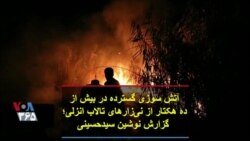 آتش سوزی گسترده در بیش از ده هکتار از نی‌زارهای تالاب انزلی؛ گزارش نوشین سیدحسینی