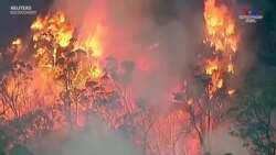 Մթնոլորտային ջերմոցային գազերի ռեկորդային կոնցենտրացիաները և տաք եղանակը մոլորակը տեղափոխել են չբացահայտված տարածք