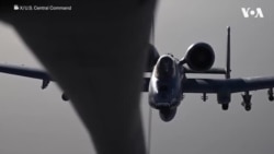 د امریکا سنا د ایران د جګړې په اړه د امریکا د استخباراتي ادارو له چارواکو څخه پوښتنې کوي