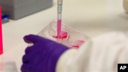 Cancer researchers in the lab, New Cancer Research Centre, Belfast (undated file photo).