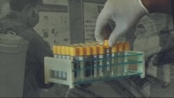 لویه پښتونخوا په ټي وي
