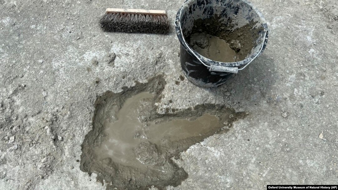 A newly uncovered dinosaur footprint is seen at Dewars Farm Quarry, in Oxfordshire, England, in this undated photo provided by Oxford University Museum of Natural History and the University of Birmingham on Jan. 2, 2025.