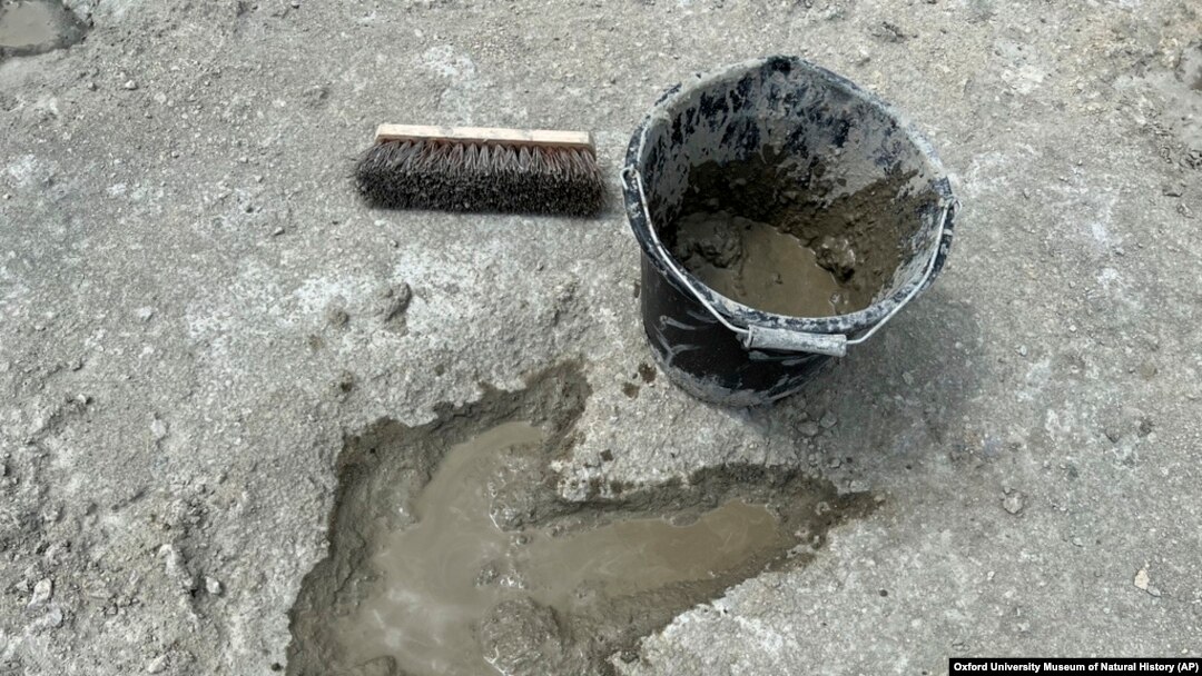 Новооткриен отпечаток од диносаурус е виден во каменоломот Деварс Фарм, во Оксфордшир, Англија, на оваа фотографија без датум обезбедена од Музејот за природна историја на Универзитетот Оксфорд и Универзитетот во Бирмингем на 2 јануари 2025 година.