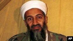 Osama bin Laden