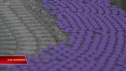 Truyền hình VOA 8/4/21: Việt Nam đề nghị hợp tác với Mỹ sản xuất vaccine COVID