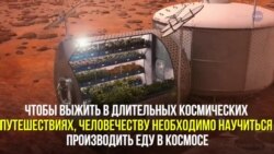 Космические сады