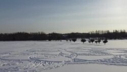 ՏՏ ոլորտի մասնագետ Ջեննի Պիկկոն և մի շարք կամավորներ հսկայական զարդանախշ են նկարել ձյան վրա. Ֆինլանդիա