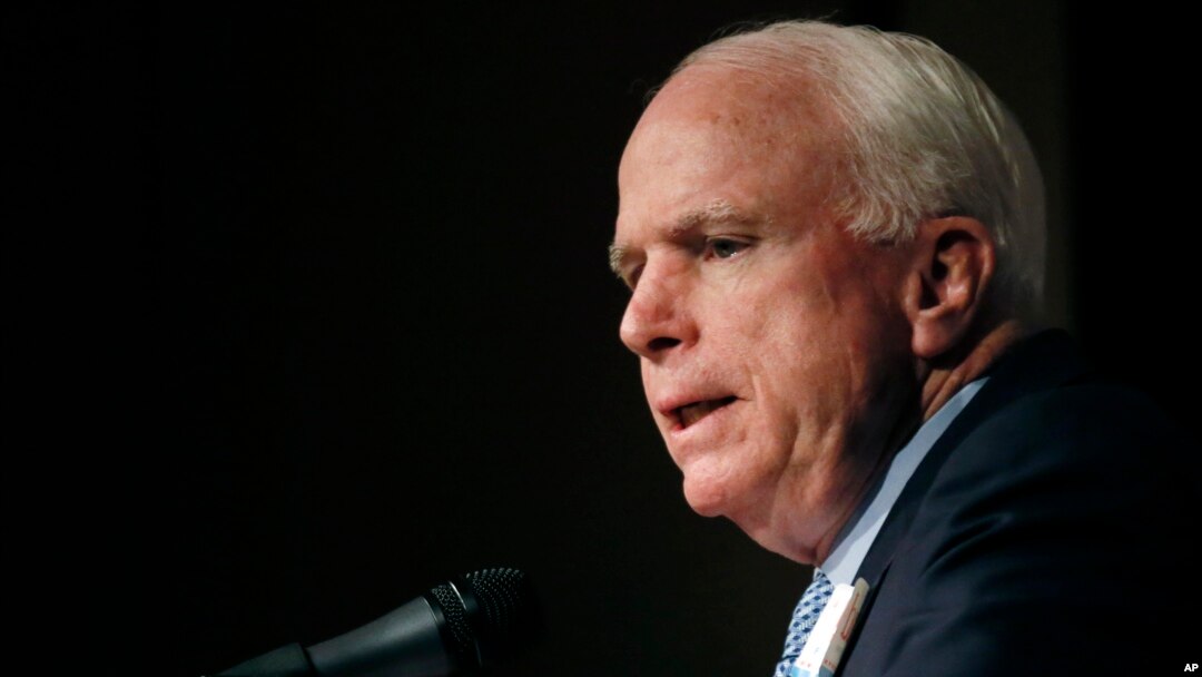 Sen. John McCain speaks at a rally in support of Republican Sen. Thad Cochran at the Mississippi War Memorial in Jackson, Miss., June 23, 2014.