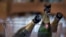 Champagne bottles in a bucket