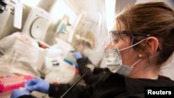 Kylene Karnuth works with coronavirus samples as researchers begin a trial to see whether malaria treatment hydroxychloroquine can prevent or reduce the severity of COVID-19, at the University of Minnesota in Minneapolis, March 19, 2020.