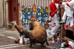 FILE - A reveler is gored by a Cebada Gago's ranch fighting bull during the running of the bulls in Pamplona, Spain.