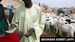 Un client paie pour les moutons qu'il a achetés à un vendeur installé à côté de la voie express de Dakar, au Sénégal, le 28 décembre 2006, avant les célébrations de l'Aïd Al-Adha, ou "Tabaski". Photo: GEORGES GOBET/AFP