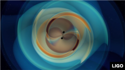 A still image from a numerical simulation of two black holes that inspiral and merge, emitting gravitational waves. (Credit: LIGO Caltech)