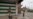 India Accuses Pakistan-Backed Militants of Targeting Hindu Pilgrims in Kashmir