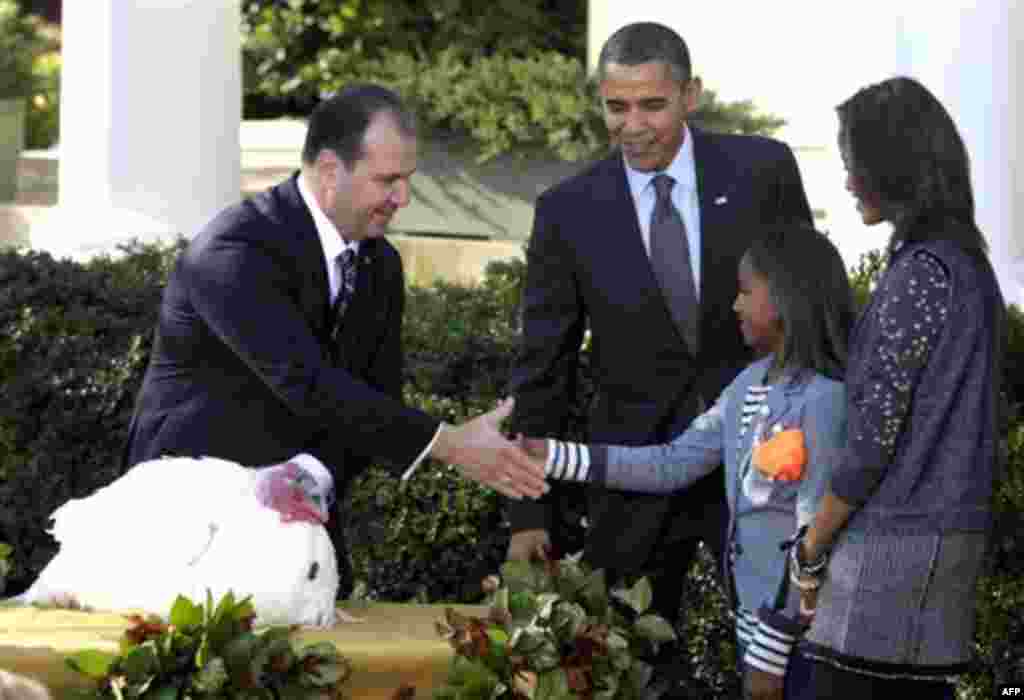 National Turkey Federation Chairman Yubert Envia, left, shakes hands with Sasha Obama, second from right, as President Barack Obama, daughter Malia Obama and "Apple," the National Thanksgiving turkey watch during a ceremony where the National Thanksgiving