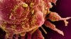 Stotine naučnika tvrdi da se koronavirus prenosi vazduhom, SZO da promeni preporuke