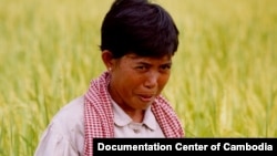 Taing Kim came forward with her story in 2003, when she became one of the first women to speak publicly about her experience, which was also covered in a 2005 television documentary filmed by DC-Cam in the rice field. (Courtesy photo of DC-Cam) 
