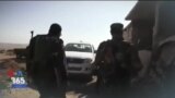 اخبار شبانگاهی
