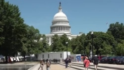 Geştek di Nava Baxçeyê Botanîk ê Washingtona Paytext de

