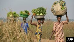 Many women in the four provinces have bennefited a lot from the Heal Zimbabwe Trust projects