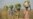 NGO Healing Zimbabwe Communities Through Peace Gardens