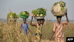 Des femmes revenant des champs pour vendre des légumes près d'un camp de déplacés à proximité de l'aéroport de Bangui.