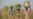 Displaced People's Camp in CAR Target of Sexual Assault