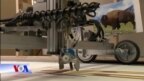 Robot hoạ sĩ