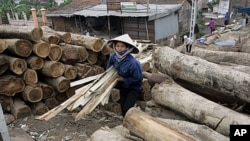 A female worker walks among lumber at a private wood processing workshop in Hanoi, January 26, 2006 (file photo)