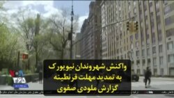 واکنش شهروندان نیویورک به تمدید مهلت قرنطینه؛ گزارش ملودی صفوی